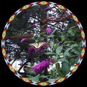 Meet your Posher, Louise